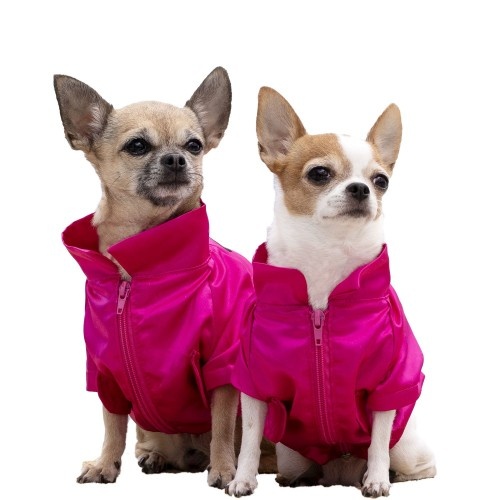 Jaqueta bomber Pippa para cães, rosa