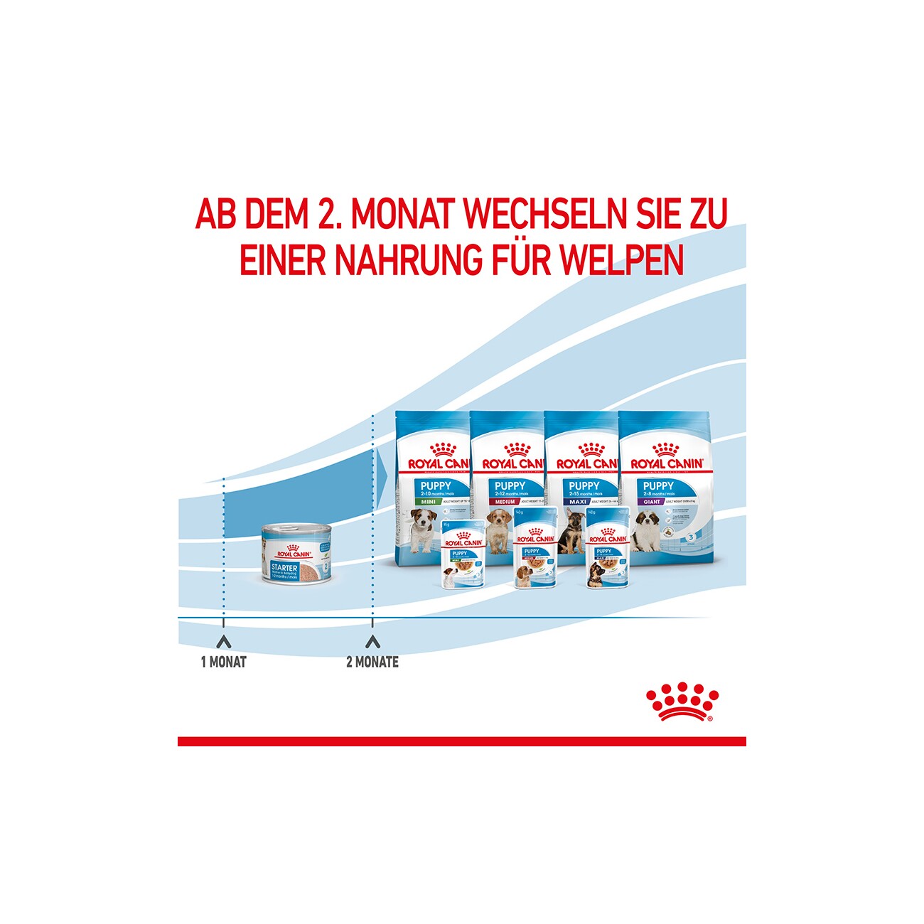 ROYAL CANIN Starter Mother & Babydog Mousse 12x195 g