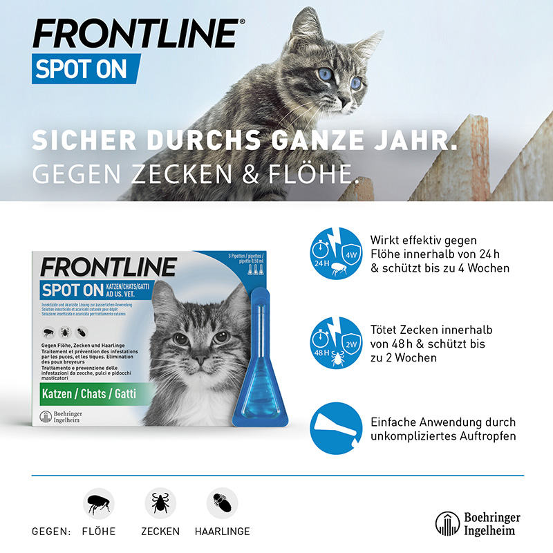 Frontline Spot On Lös Katze Liste D 0.5 ml