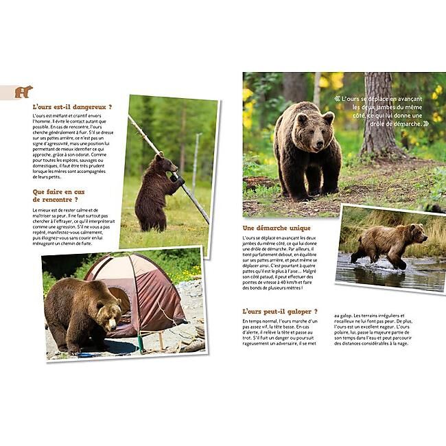 L OURS
