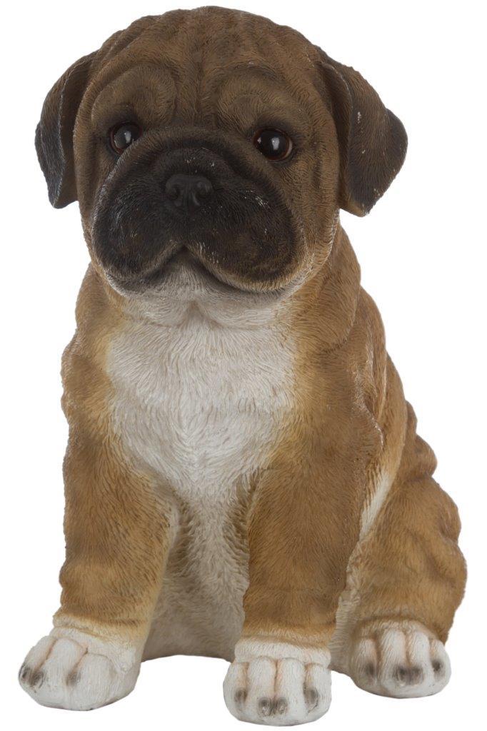 Mops Anton - braun-weiß - 21 cm