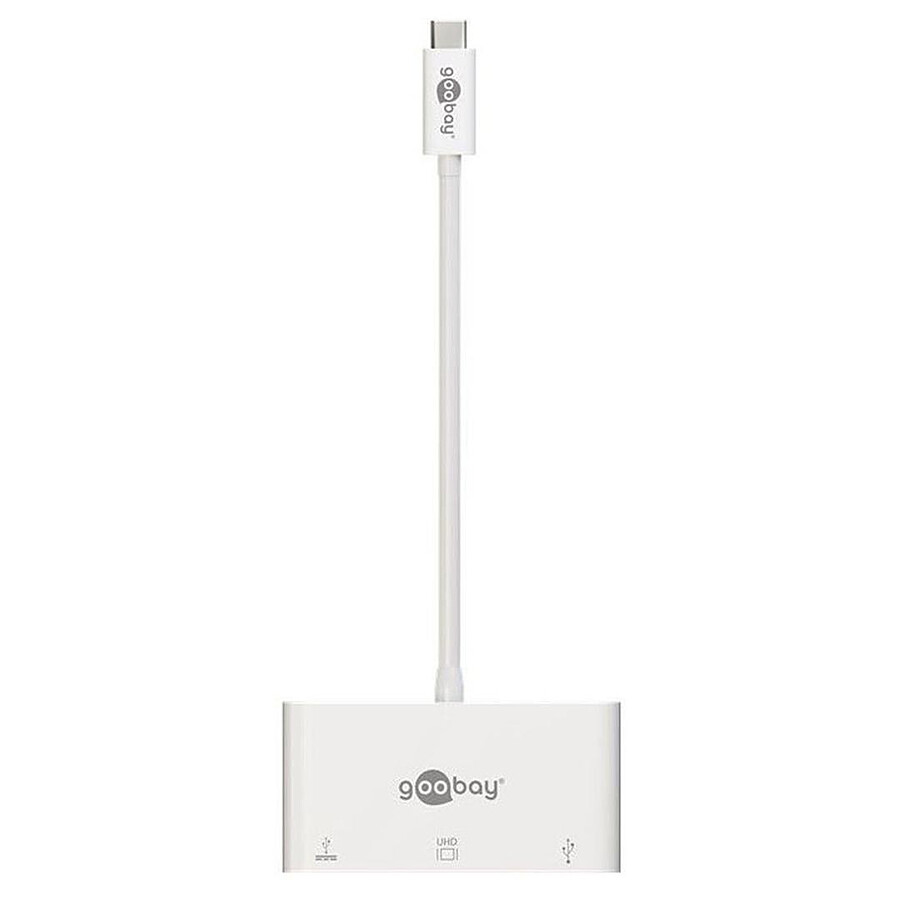 Goobay Adaptateur Multiport USB-C vers VGA (M/F)