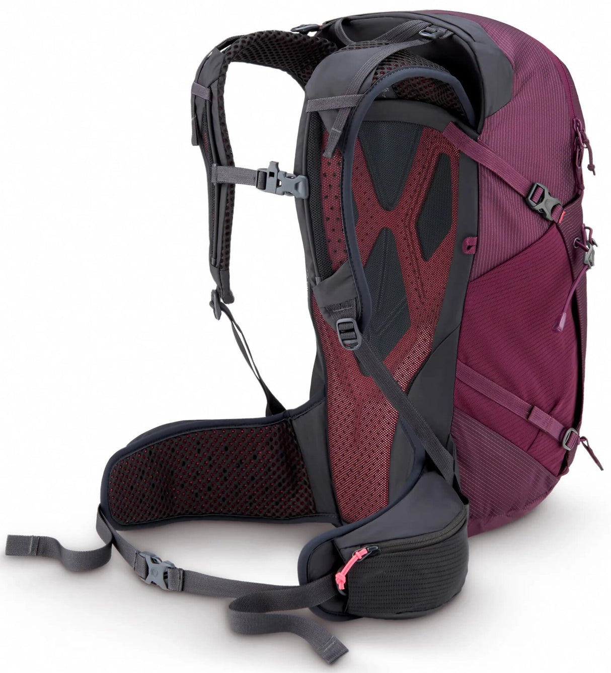 Rab<br>Protium 25 ND