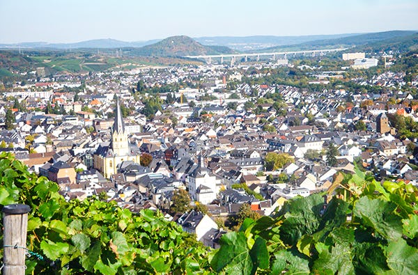 Weinbergwanderung Bad Neuenahr-Ahrweiler