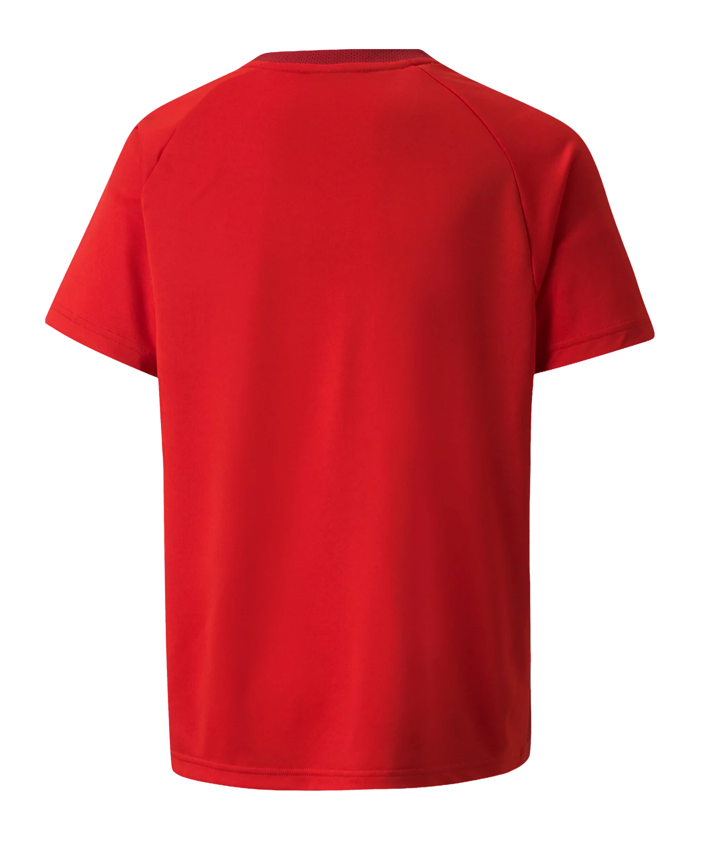 PUMA teamVISION Trikot Kids Rot F01