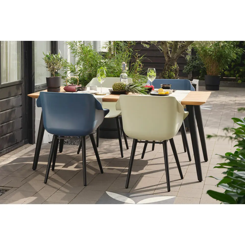 Set van 2 - Hartman Sophie Element dining armstoel - Steel Blue