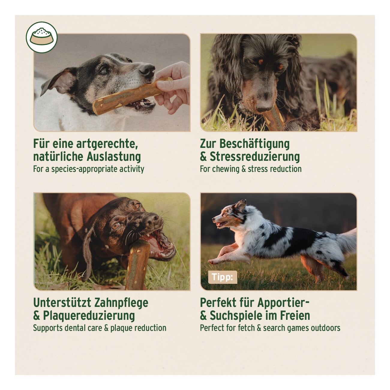 AniForte Olivenholz Kauknochen M