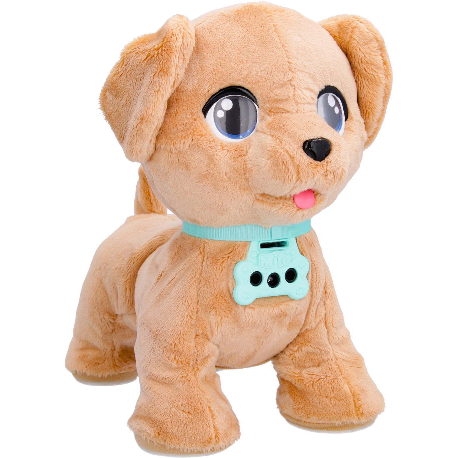 Club Petz Milo