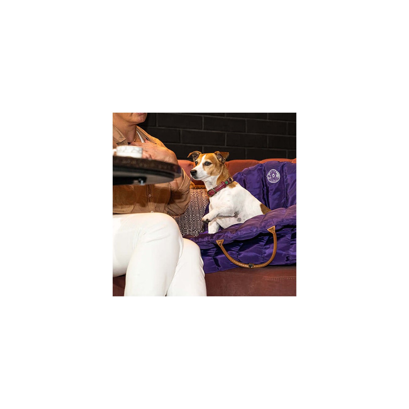 Flying Dog 3 in 1 Hundetragetasche 
