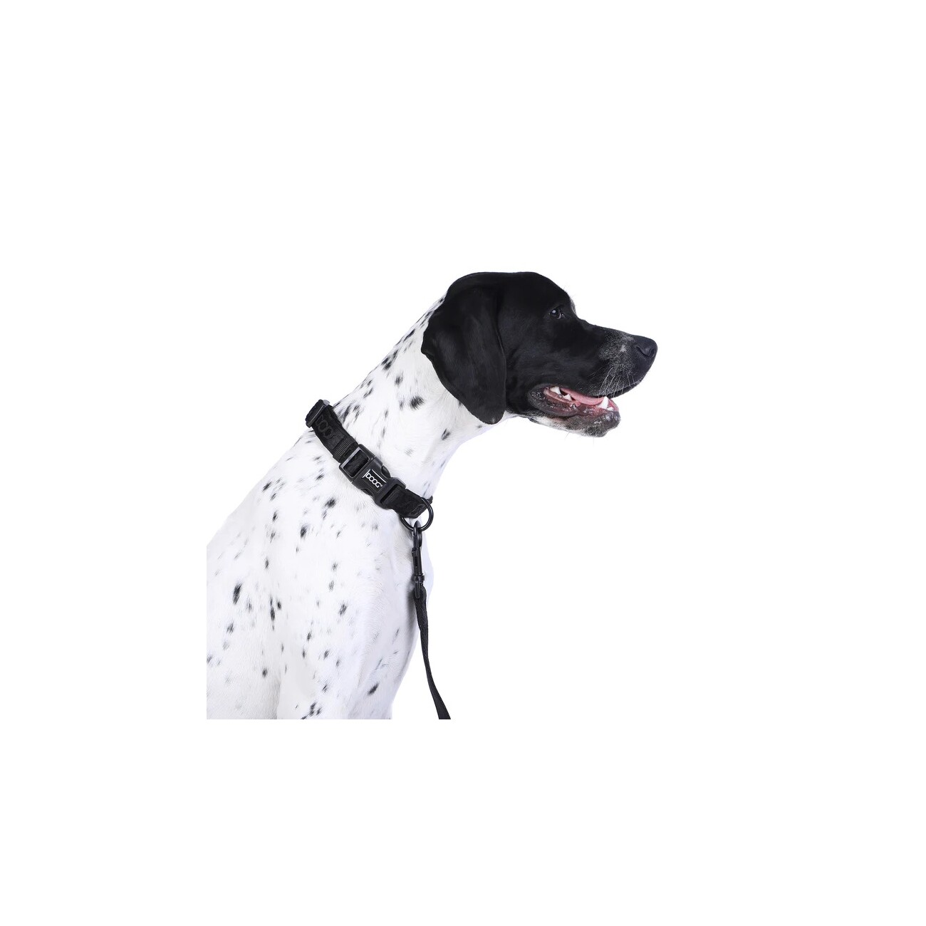 DOOG Neosport Dog Collar BLACK XS