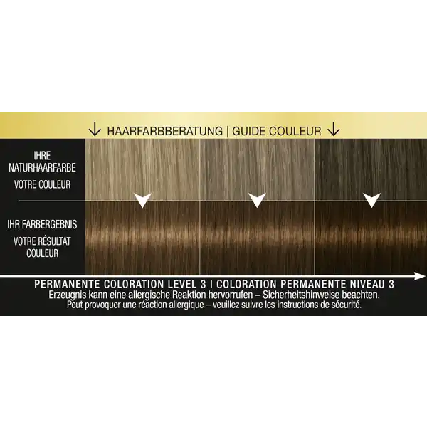 Professional Performance Oleo Intense Permanente Öl-Coloration 4-60 Goldbraun