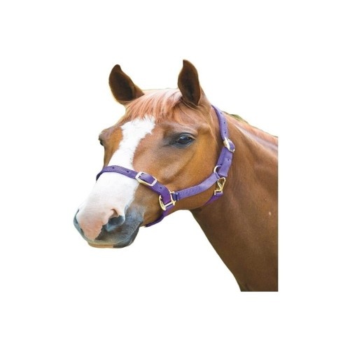 Cabresto de nylon para cavalos Shires
