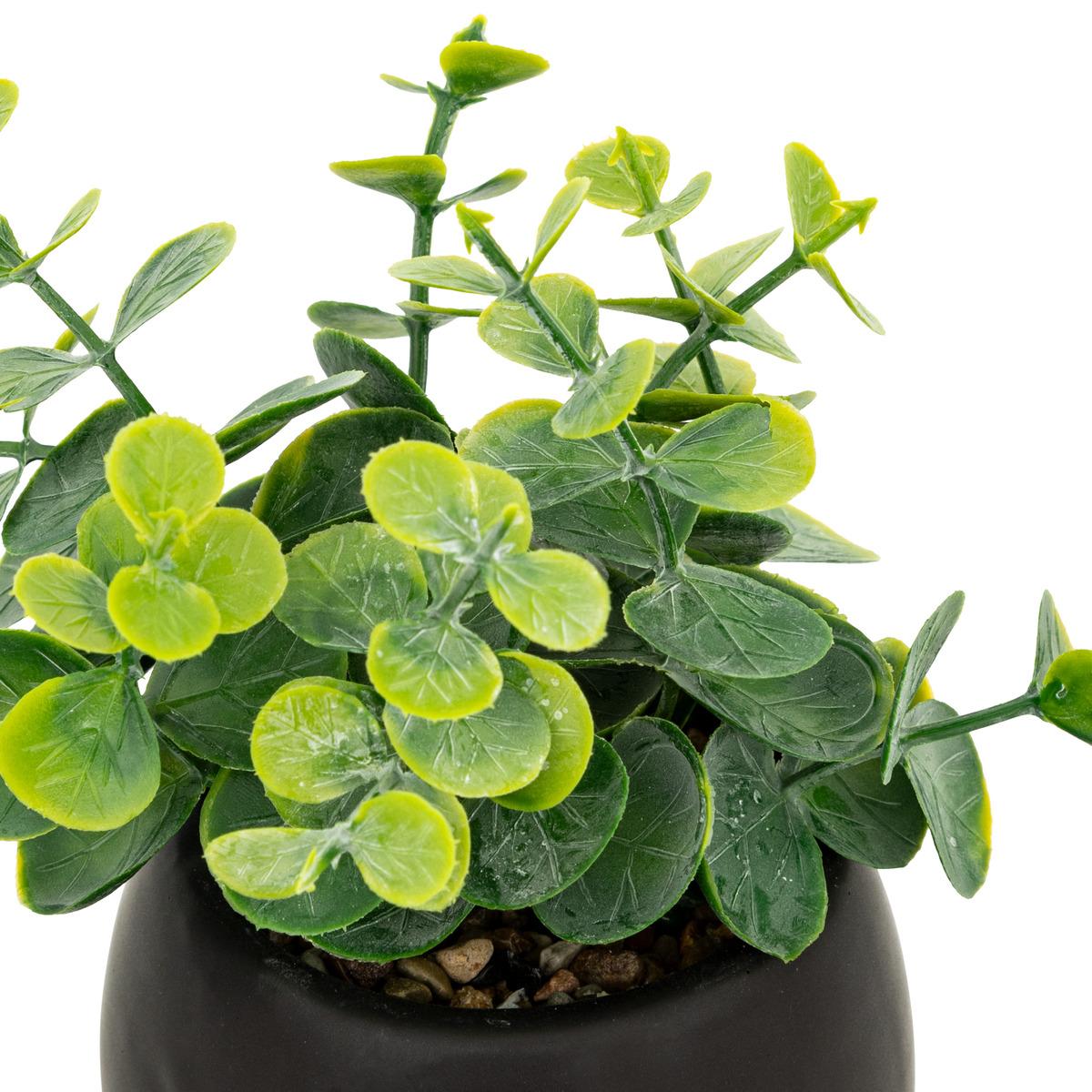 PLANTE GRASSE LIVY POT CERAMIQUE H.17CM