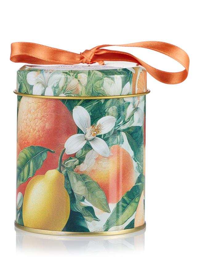 Orangenscheiben mit dunklem Schokoladenüberzug