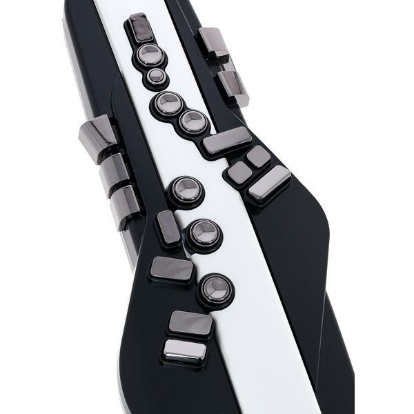 Roland Aerophone AE-20