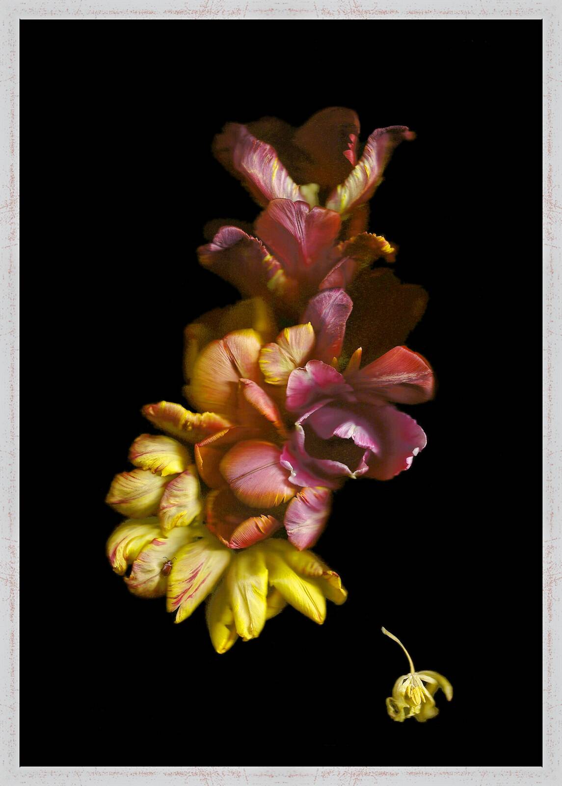 Vanitas VIII by Annet van der Voort - Limited Edition. Edition of: 100. Signed.