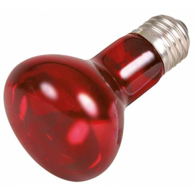 Lampe à chaleur Spot infrarouge pour terrarium