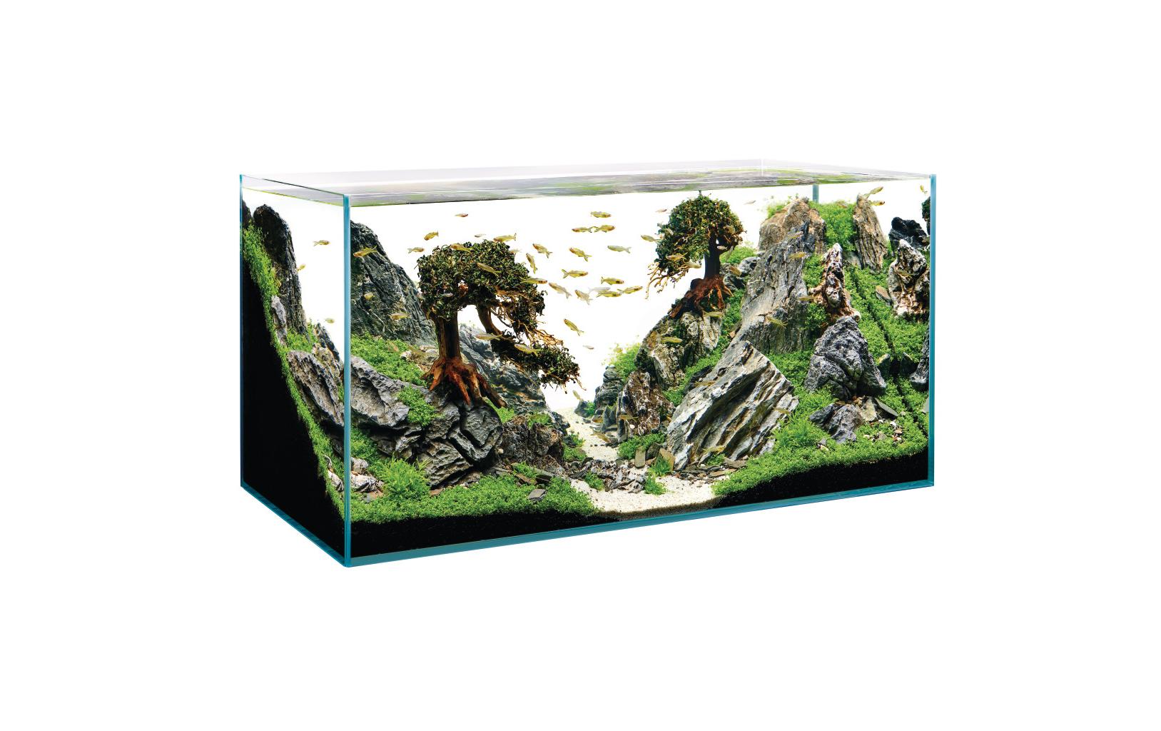 Aquarium ScaperLine 100, 250 l<br>ScaperLine Aquarien aus Optiwhite-Glas