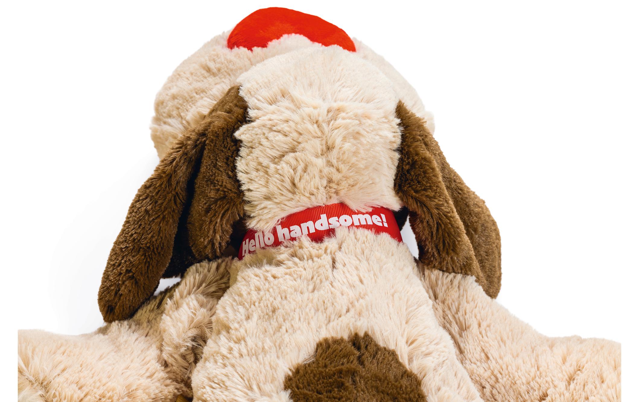 Hunde-Spielzeug Hund Joep XL, 48 x 46 x 11 cmPlüschspielzeug