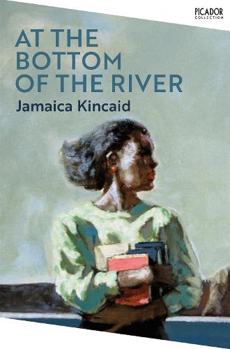 At the Bottom of the River - Picador Collection (Paperback)
