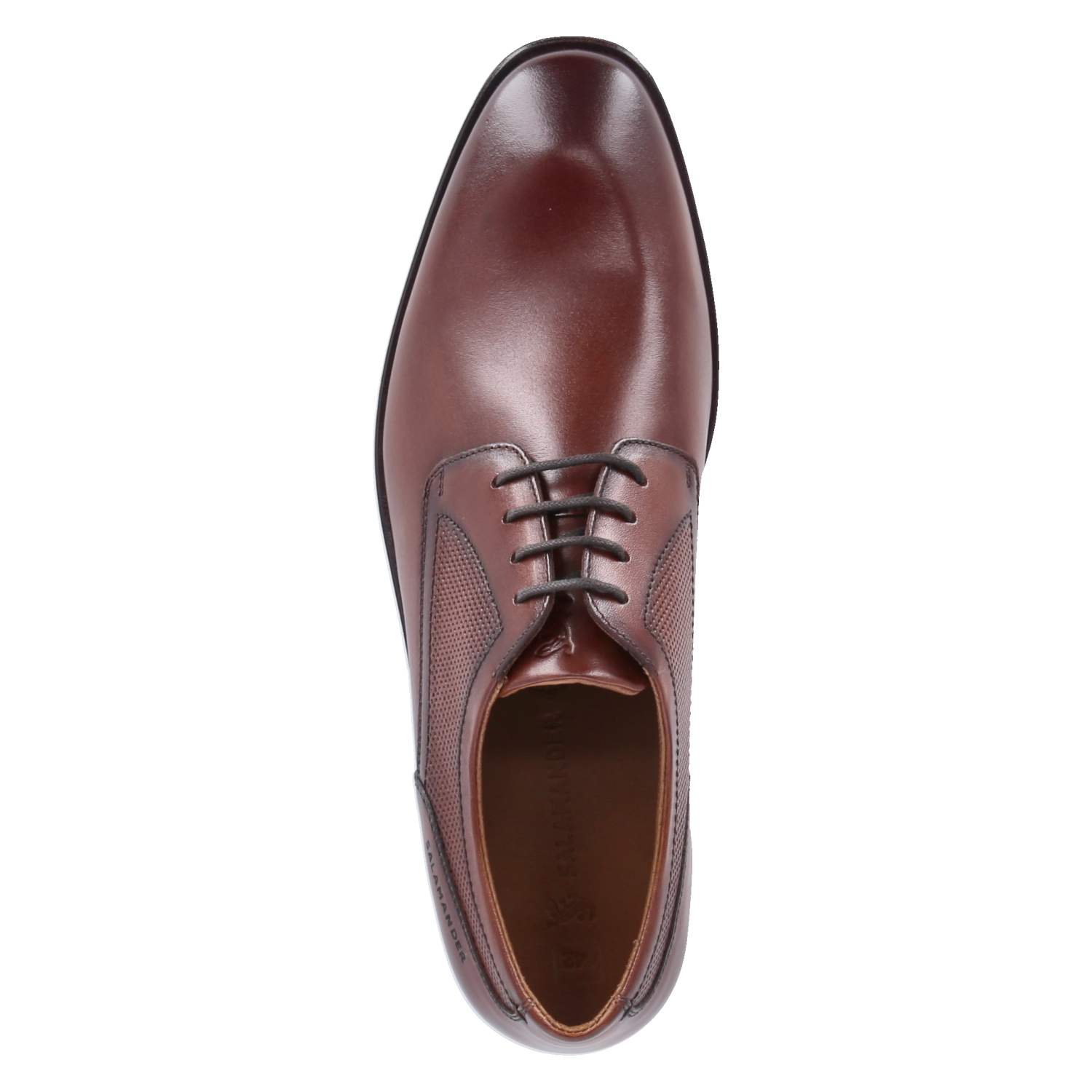 Salamander Businessschuhe - cognac