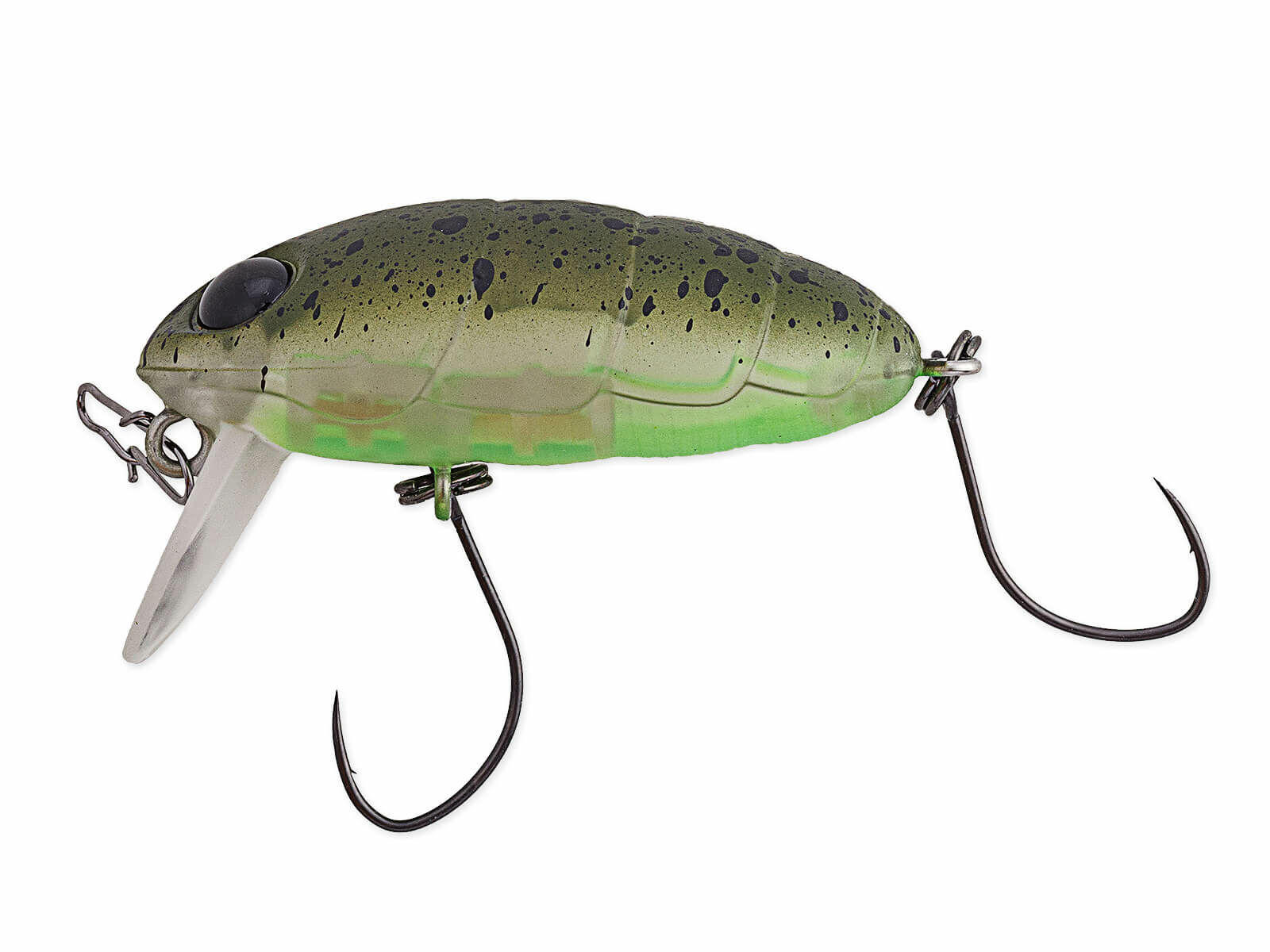 Crankin Boss Pupa Shallow (347M) Kokedama(Nories)
