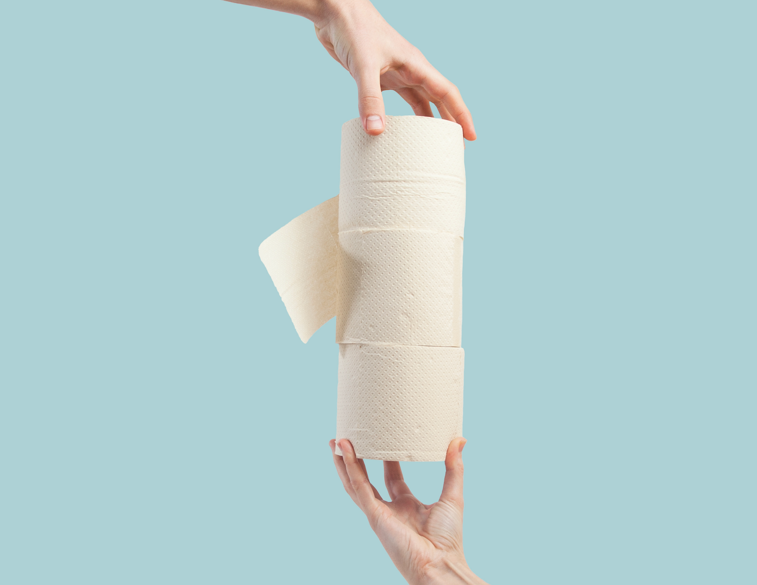 The Panda Edition - Bamboo Paper #NAKED