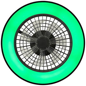 Brilliant plafondventilator Mazzaro met lamp en RGB functie 40W zwart