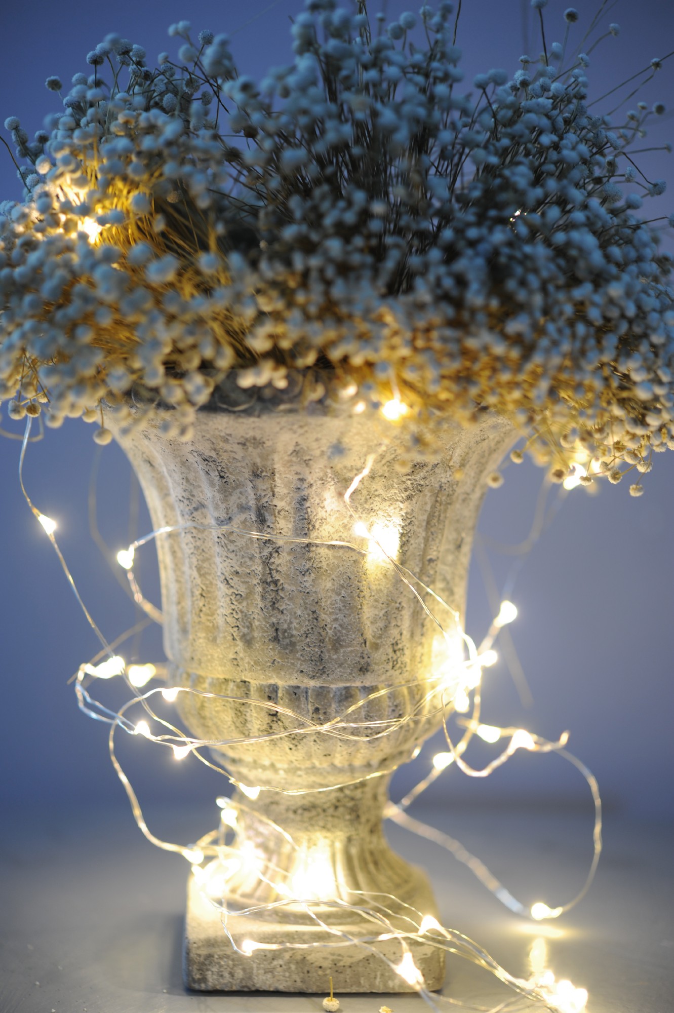Lichtertraube 'Bertogne', 80 LED, 8 Strippen, 130 cm von fischer's lagerhaus