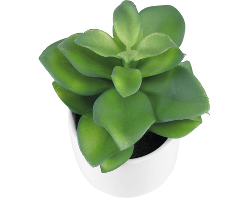 Kunstplant in keramische pot Lafiora Succulent 22 cm