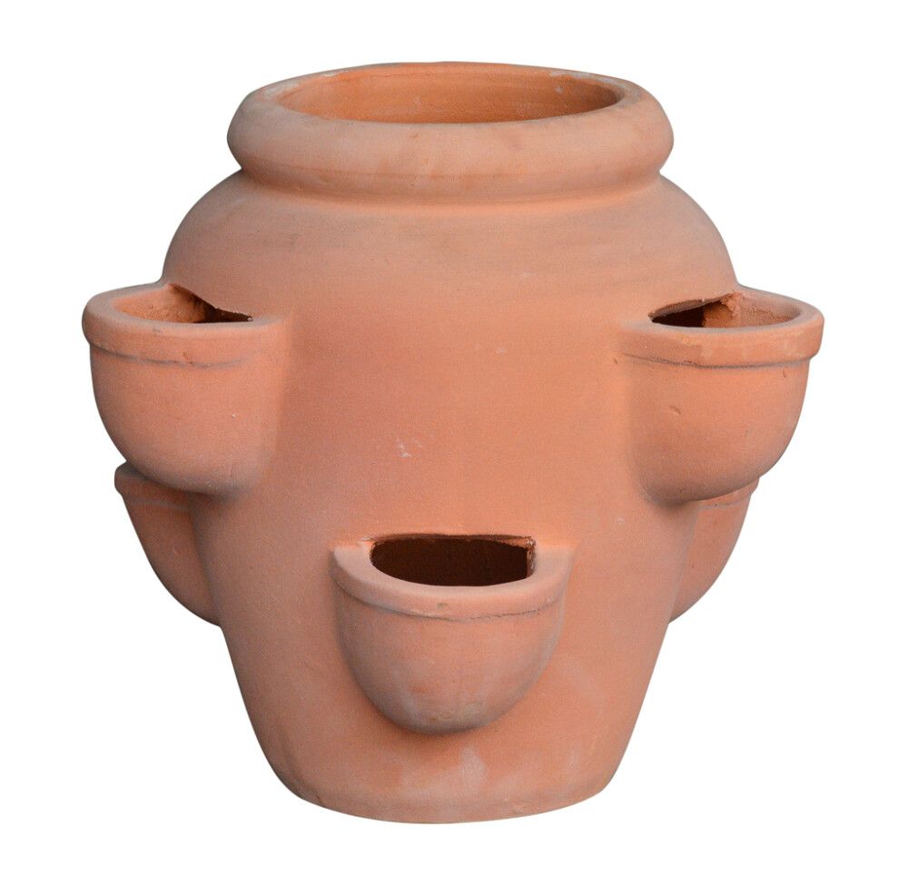 UTEPOTTE JORDBÆR TERRAKOTTA 36CM