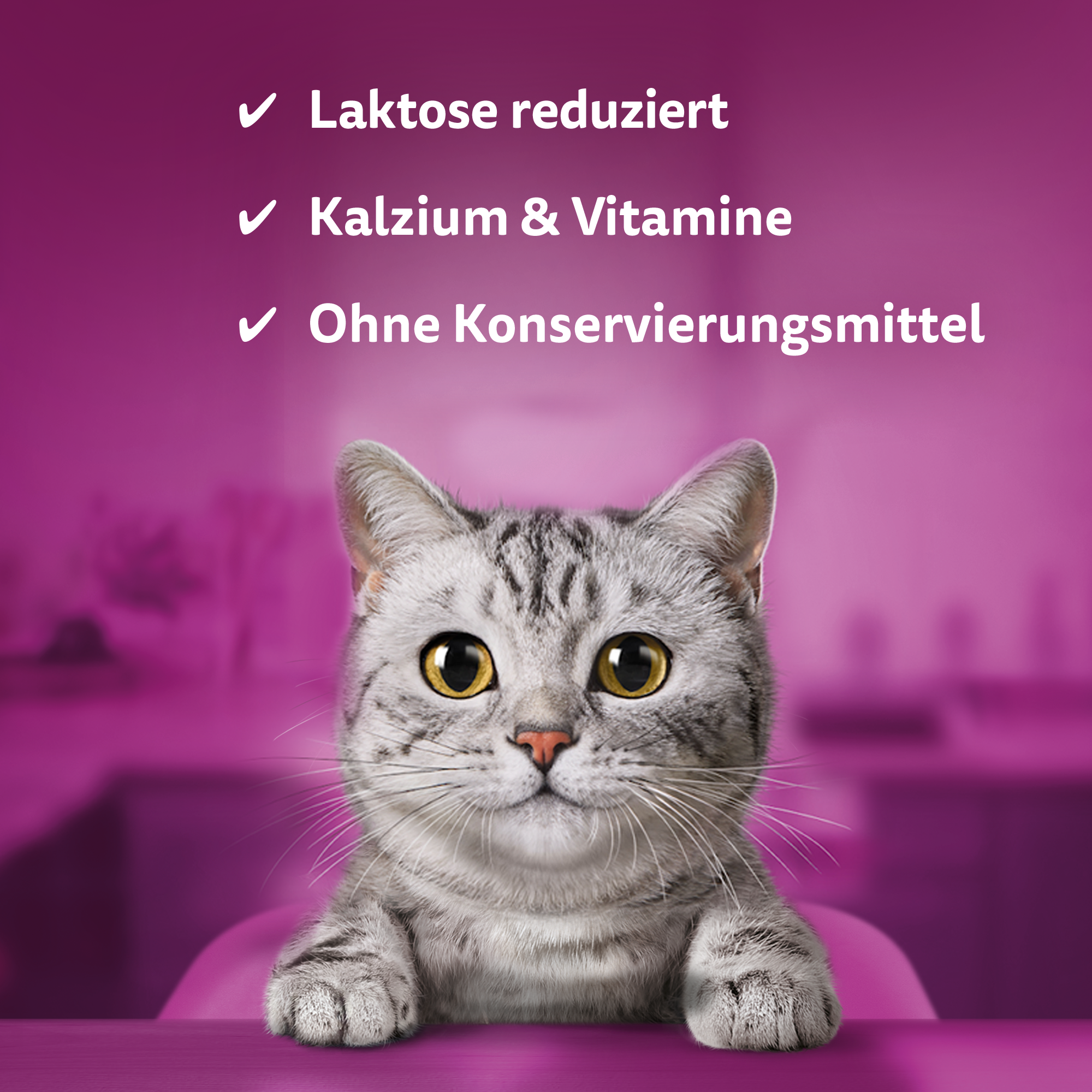 Whiskas Katzenmilch