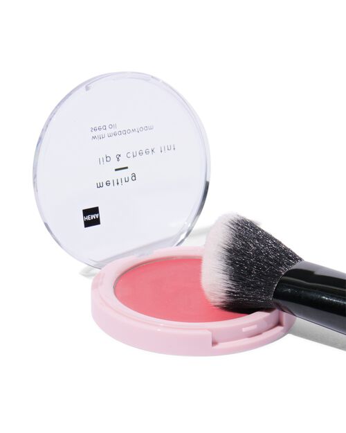 lip & cheek teinte 01