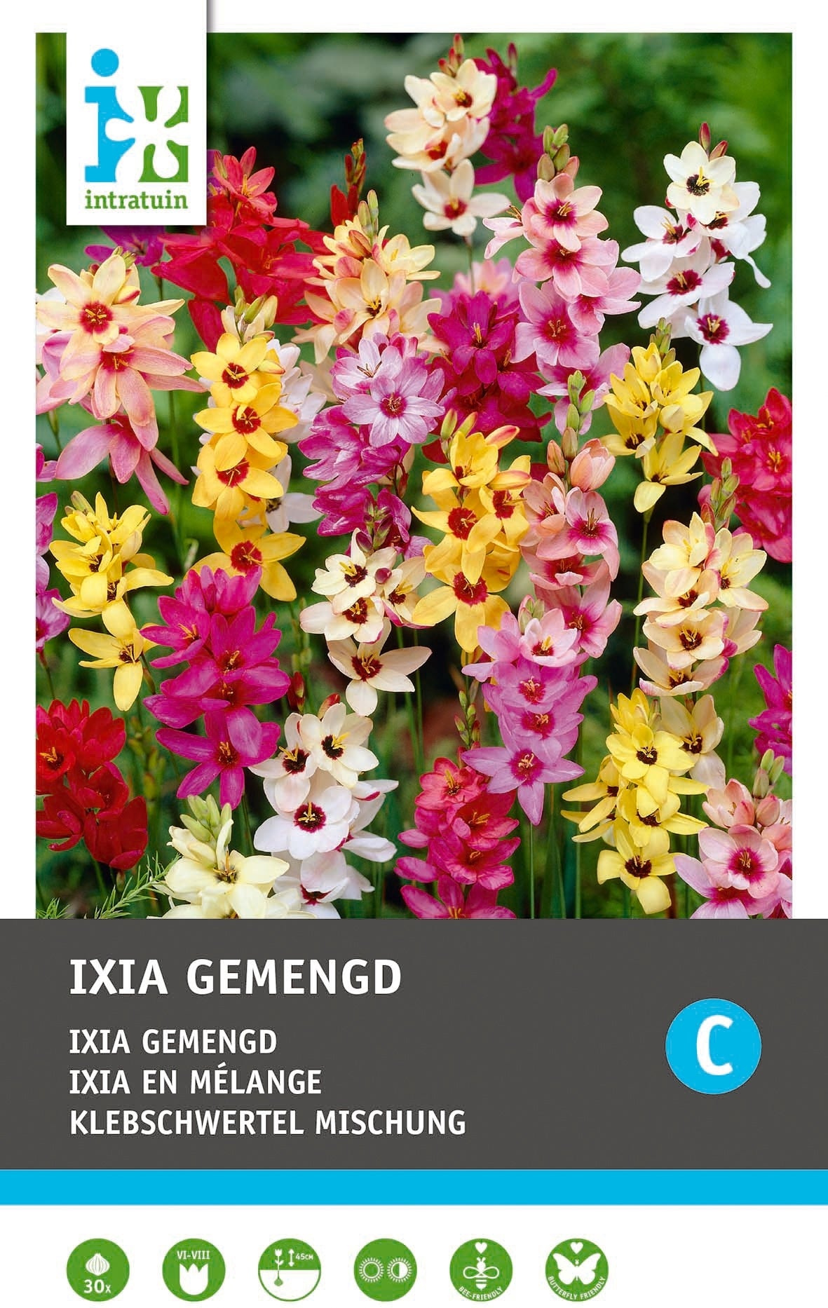 Intratuin bloembollen Ixia (Ixia) gemengd 30 stuks