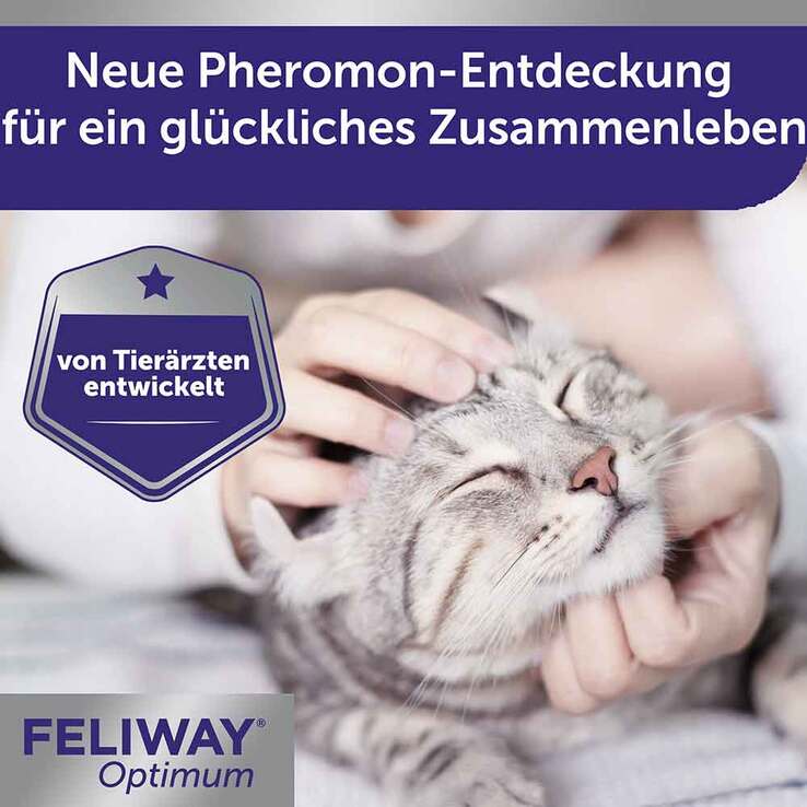 Feliway Optimum Nachfüllflakon Lösung für Vern.für Katzen, 48 ml