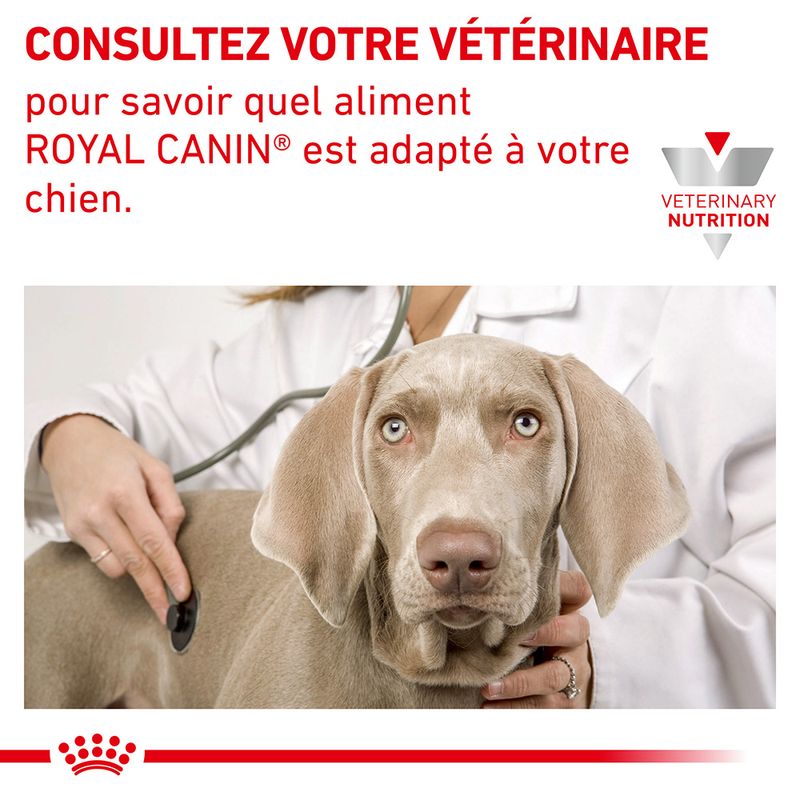 Royal Canin Veterinary Canine Hypoallergenic Puppy