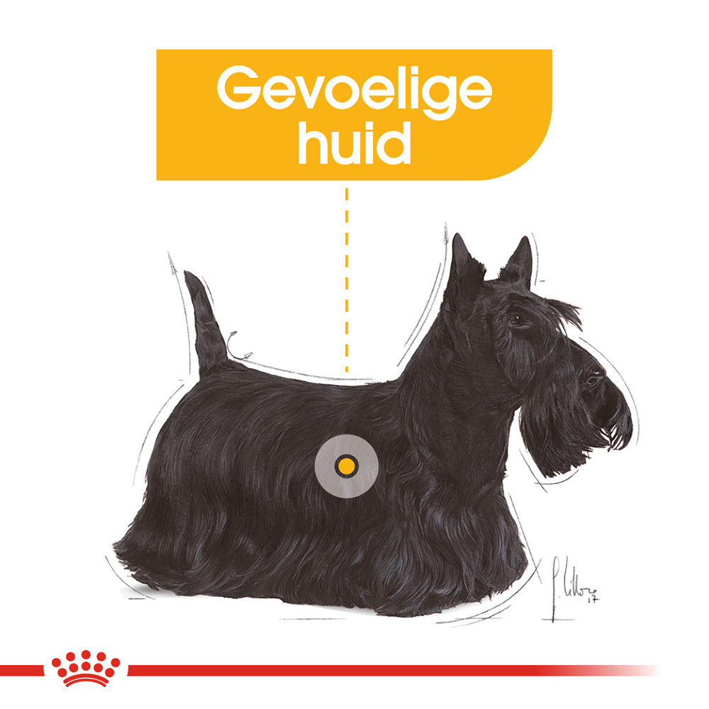 Royal Canin Dermacomfort Mini - Hondenvoer