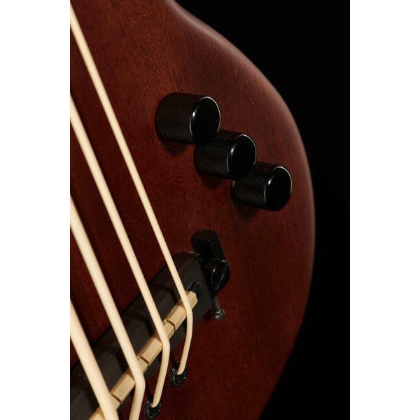 Gold Tone ME-BASS/Fretless