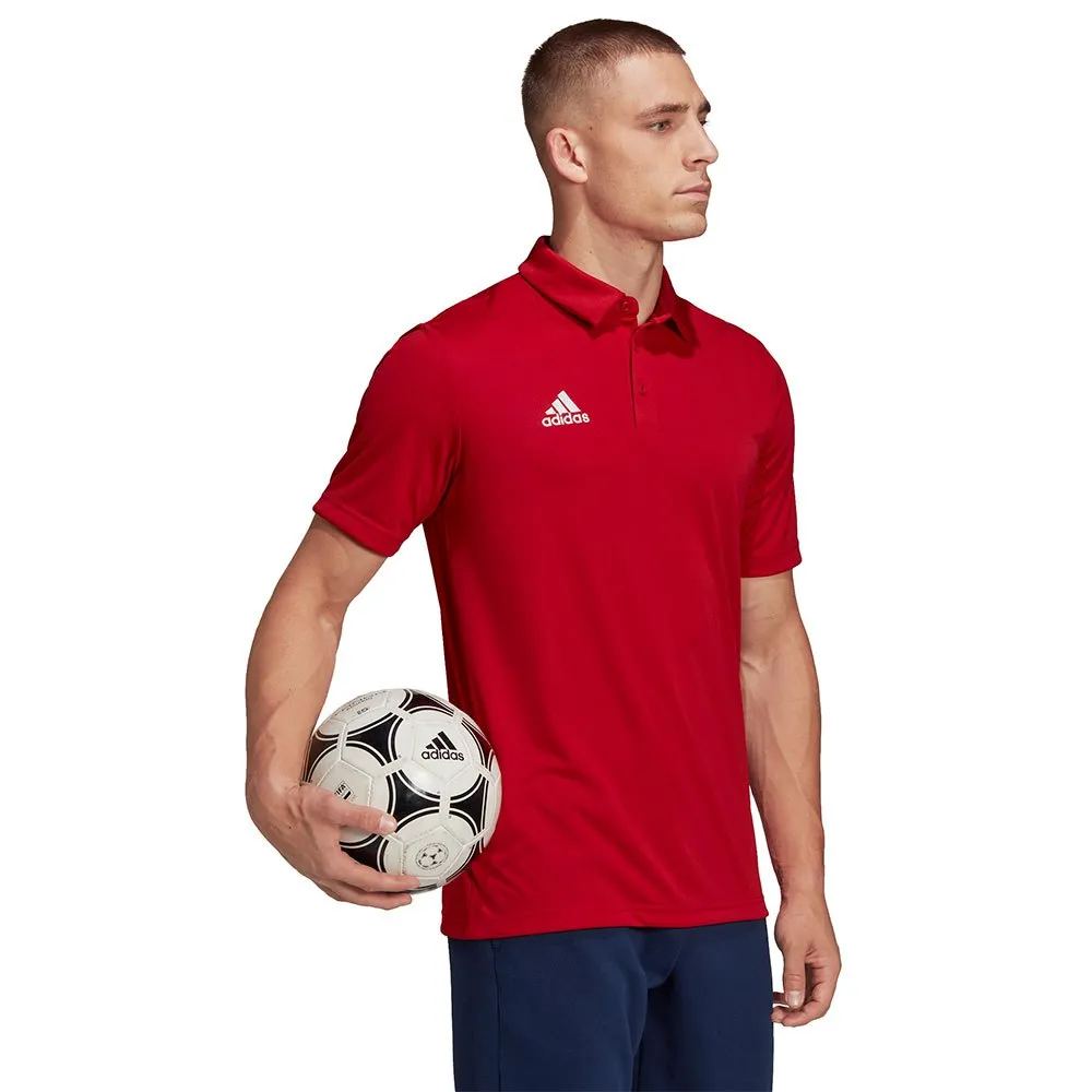 Camisa polo de manga curta adidas Entrada 22