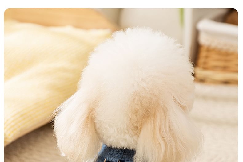 Cissilli - Fleece gevoerde top met lettersapplicatuur