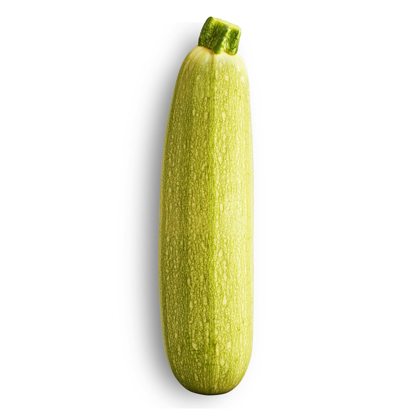 Courgettes blanches