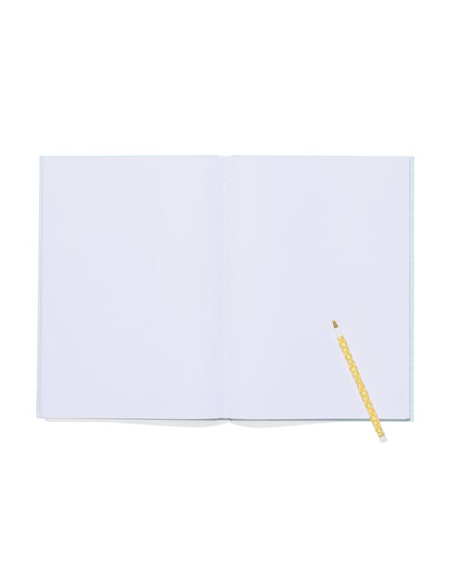 dummy book