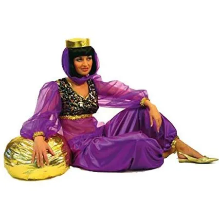 Festartikel Müller Salome 1001 Nacht Prinzessin Gr. 34/36