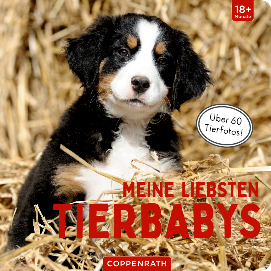 SPIEGELBURG COPPENRATH Meine liebsten Tierbabys