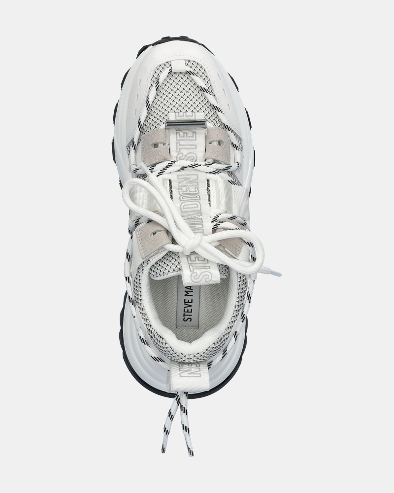 Steve Madden Tazmania Dad Sneakers  - wit