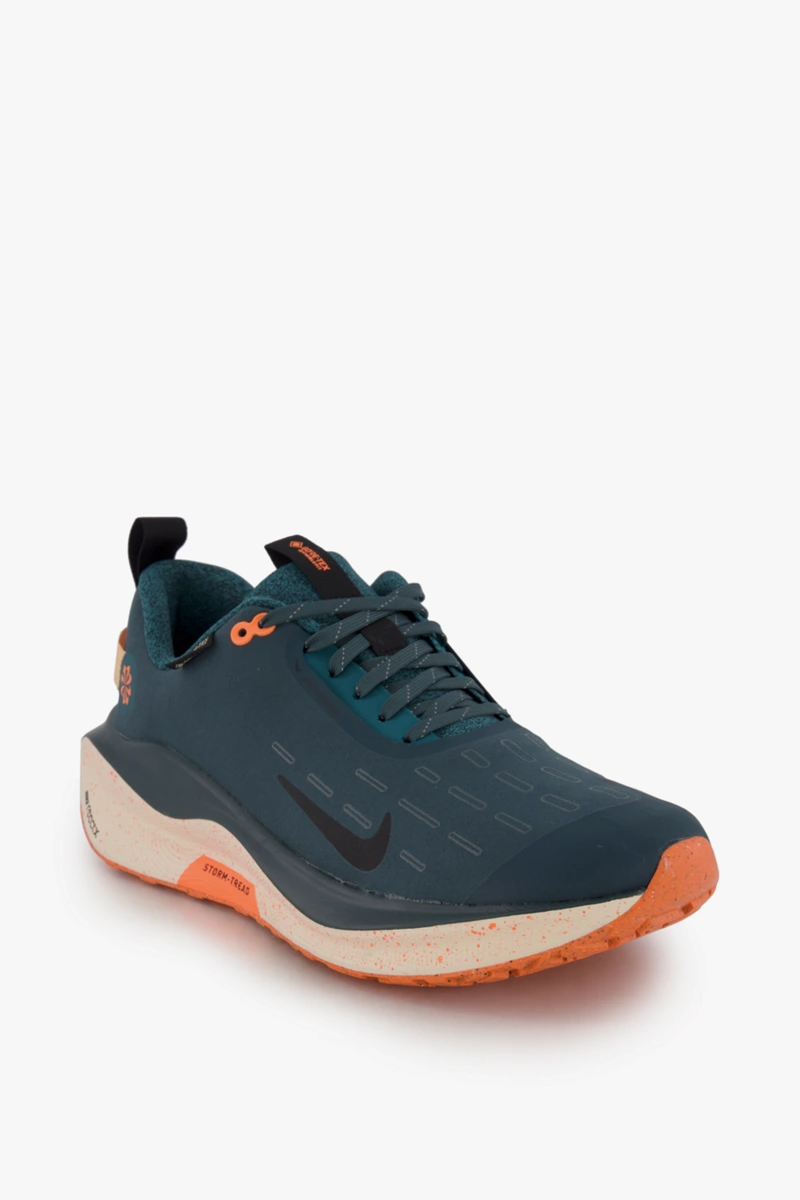 Nike Infinity RN 4 Gore-Tex® Herren Laufschuh