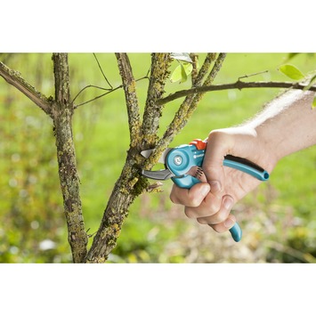 Gardena snoeischaar Classic aambeeld