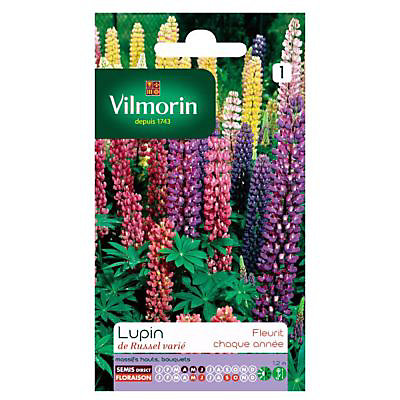 Graines de Lupin de Russel Varié Vilmorin