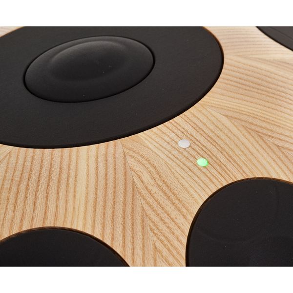 Neotone Mutant Digital Handpan Ash