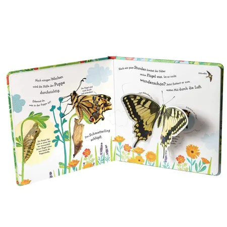 DK Verlag Wie wird die Raupe zum zum Schmetterling?